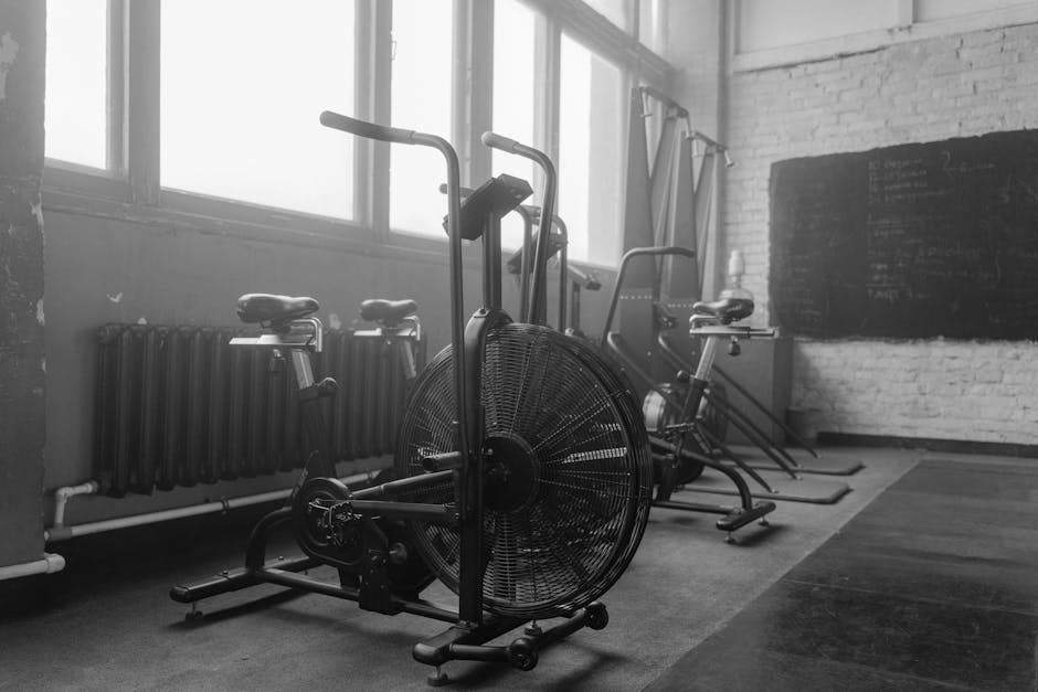 Gym equipment
