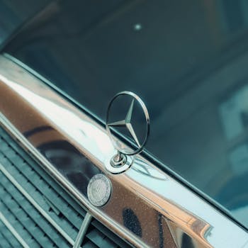 Patili Dostlar Veteriner Kliniği